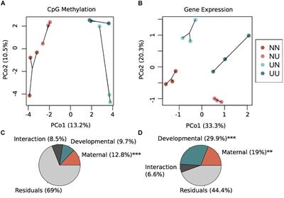 Examining the Role of DNA Methylation in Transcriptomic Plasticity of Early Stage Sea Urchins: Developmental and Maternal Effects in a Kelp Forest Herbivore